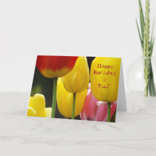Happy Birthday to You! Cards Bright Colourful Tuli