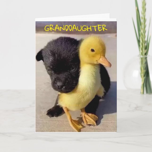 HAPPY BIRTHDAY TO YOU **GRANDDAUGHTER** CARD (Front)