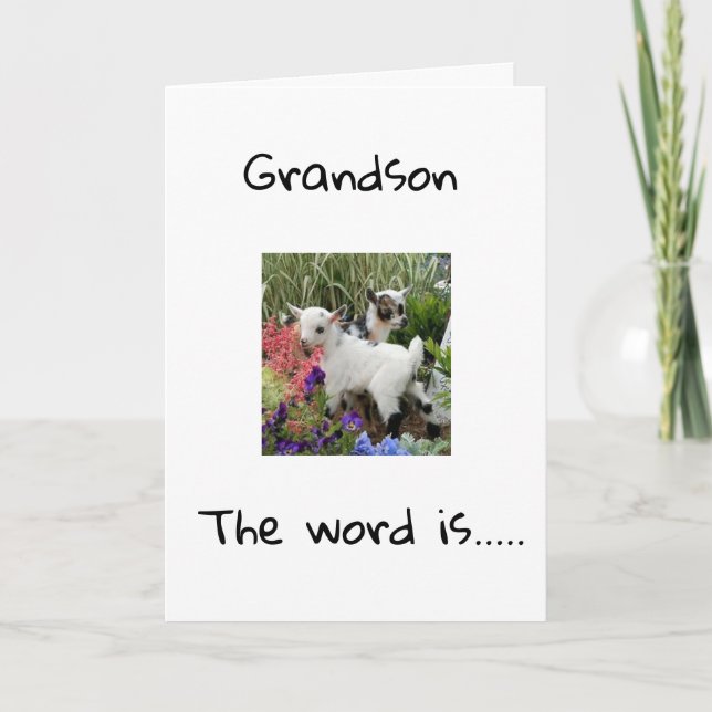 HAPPY BIRTHDAY TO YOU **GRANDSON** CARD (Front)