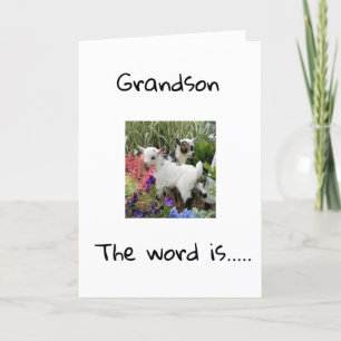 HAPPY BIRTHDAY TO YOU **GRANDSON** CARD