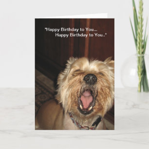 "Happy Birthday to You" - Singing Dog Card