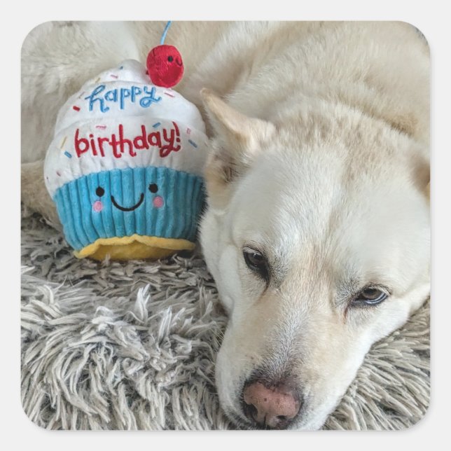 Happy Birthday to you.. Square Sticker (Front)