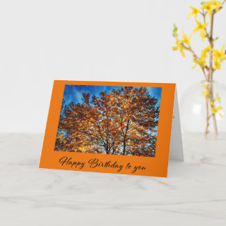 Happy Birthday To YouFolded Greeting Card