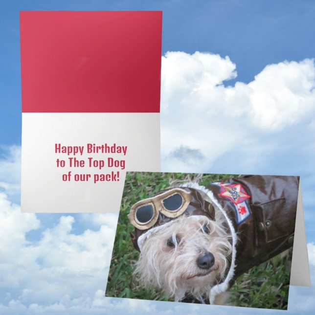 Happy Birthday Top Dog of Our Pack Cute Puppy Card (Creator Uploaded)