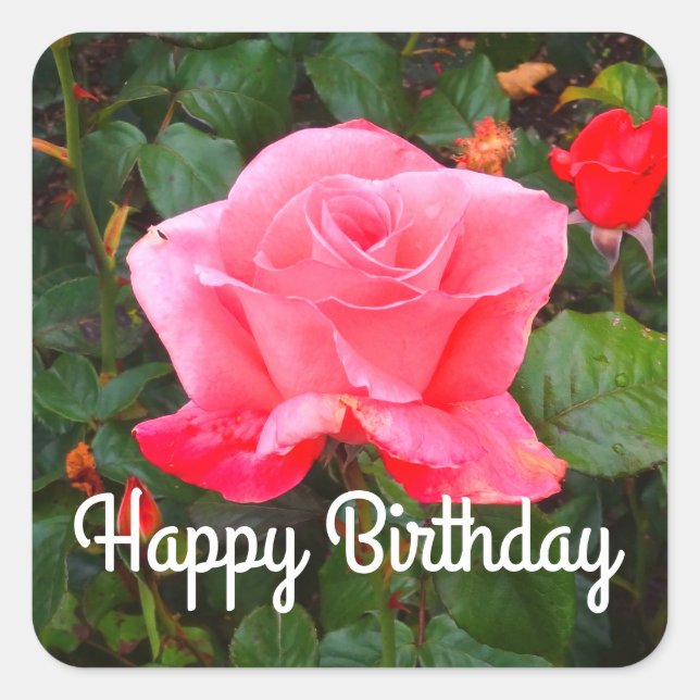 Happy Birthday Touch of Class Rose #1 Stickers (Front)