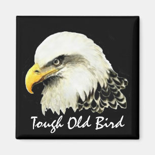 Happy Birthday Tough Old Bird Bald Eagle Magnet