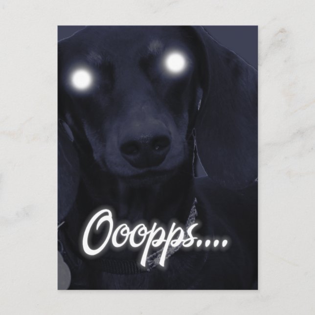 Happy Birthday -  Trick Candles - Dachshund Postcard (Front)