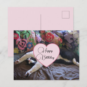 Happy Birthday Tuxedo Cat Cats Postcard