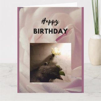 Happy Birthday. Tuxedo cat with a rose. Card