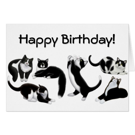 Happy Birthday Tuxedo Cats Card | Zazzle.co.uk