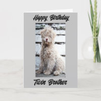 **HAPPY BIRTHDAY TWIN BROTHER**