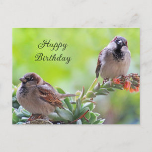 Happy Birthday Two Cute Sparrow Birds Postcard