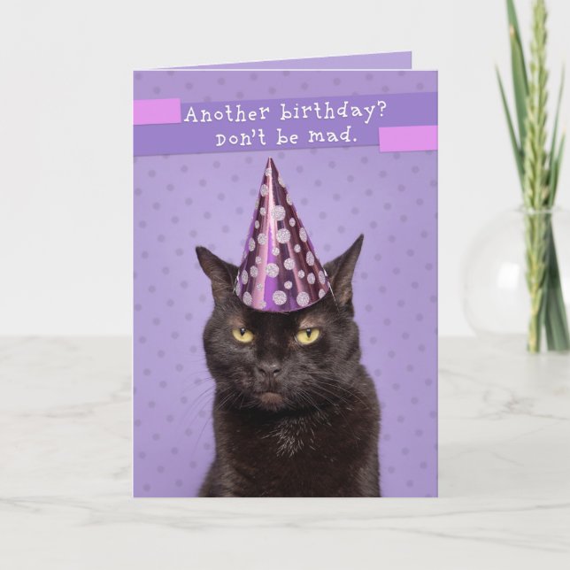 Happy Birthday Unhappy Cat in Party Hat Humour Holiday Card (Front)