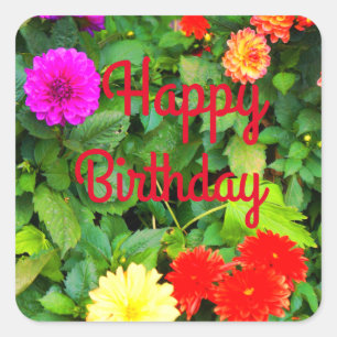 Happy Birthday Various Dahlias #1-1 Stickers