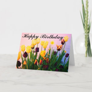 Happy Birthday Various Tulips #1 Card