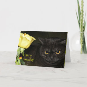 Happy Birthday — Venice Cat Greeting card