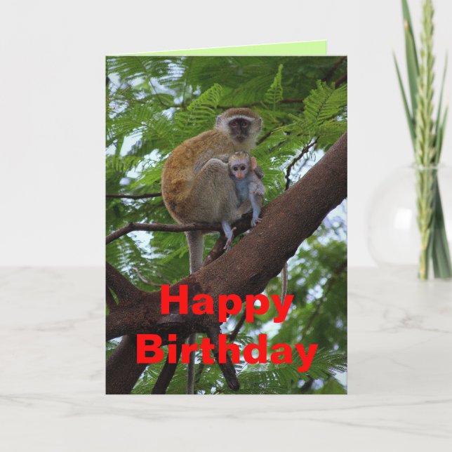 Happy Birthday Vervet Monkey Mother and Child Card (Front)