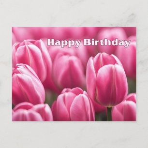 Happy Birthday Vibrant Pink Tulip Flowers  Postcard