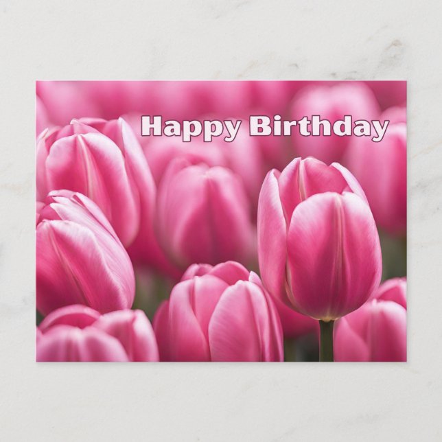 Happy Birthday Vibrant Pink Tulip Flowers  Postcard (Front)