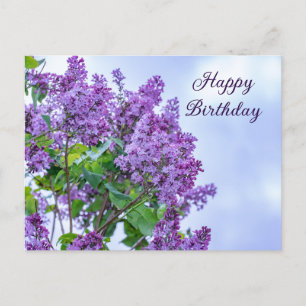 Happy Birthday Vibrant Purple Lilac Flowers   Postcard