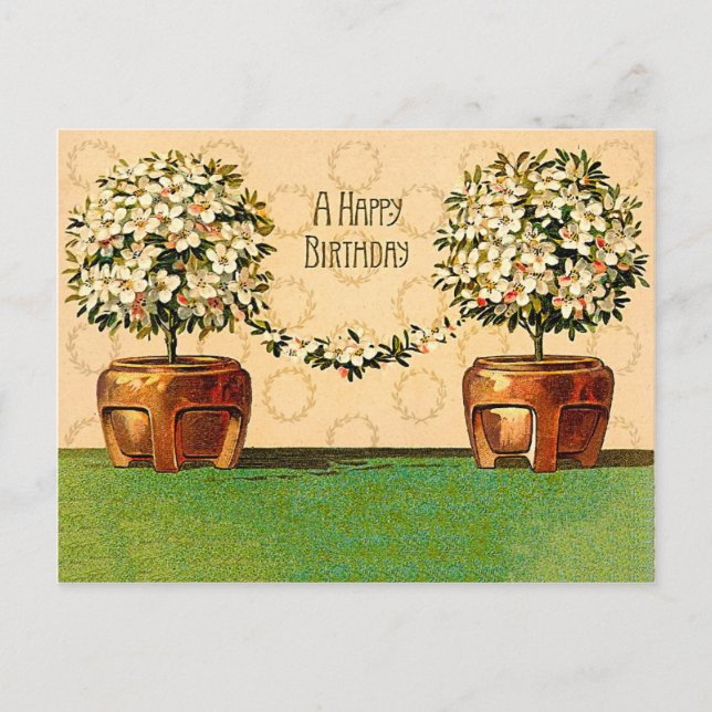 Happy Birthday Vintage Flowering Pots Postcard (Front)