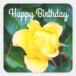 Happy Birthday Walking on Sunshine Rose #1 Sticker
