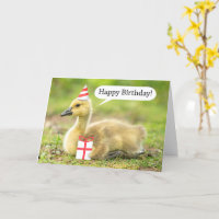 Happy Birthday Warm and Fuzzy Gosling Humour