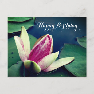 Happy Birthday Water Lilly Poscard Postcard