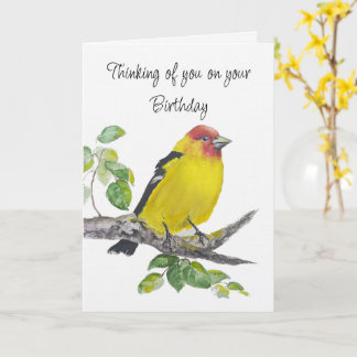 Happy Birthday Watercolor Western Tanager Bird Card