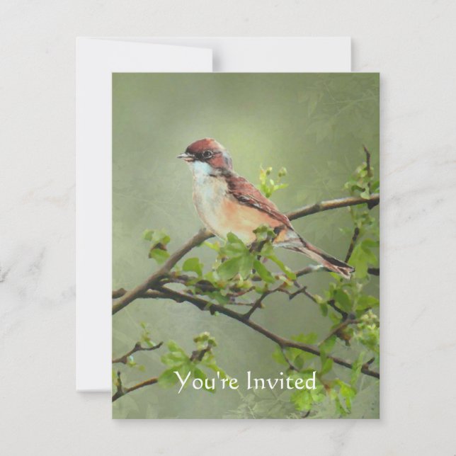 Happy Birthday Watercolor Whitethroat Bird theme Invitation (Front)