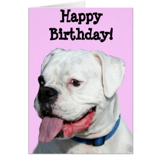 600+ Birthday Boxer Cards | Zazzle