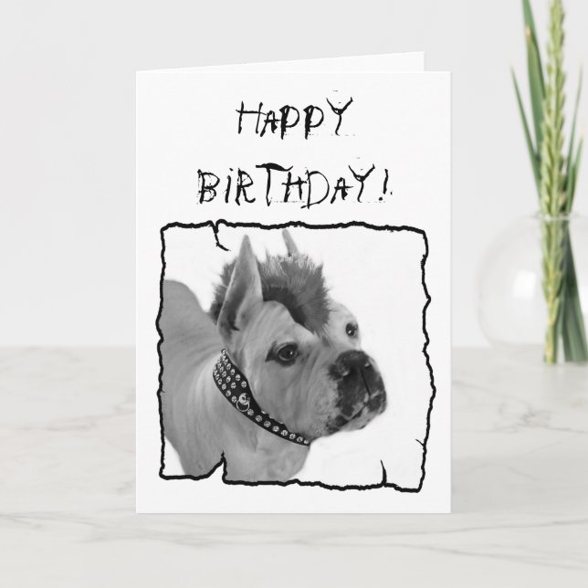 Happy Birthday White Boxer Punk greeting card (Front)