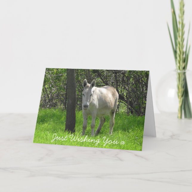 Happy Birthday White Donkey Photo Card (Front)