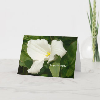 Happy Birthday-White Flower Card