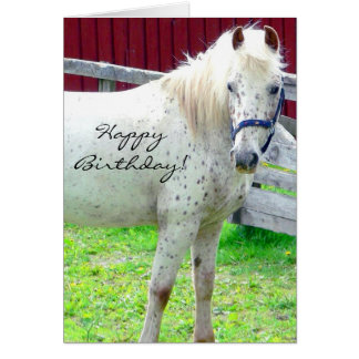 White Horse Birthday Cards, Photo Card Templates, Invitations & More