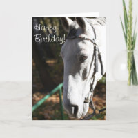 Happy Birthday White Horse Greeting Card