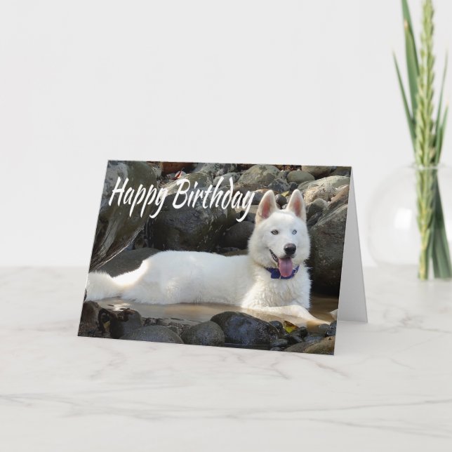 Happy Birthday White Siberian Husky Puppy Dog Card (Front)
