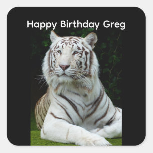 Happy Birthday White Tiger Square Sticker