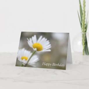 Happy Birthday Wild Daisies Card