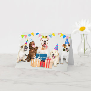Happy Birthday Wild Party Animals Card