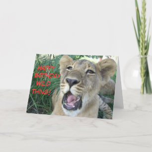 Happy birthday wild thing lion cub card