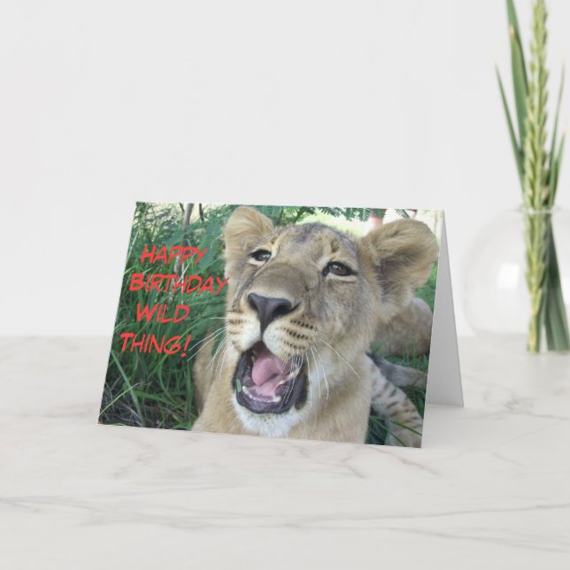 Happy birthday wild thing lion cub card (Front)
