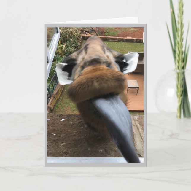 Happy Birthday Wildlife Kiss Holiday Card (Front)