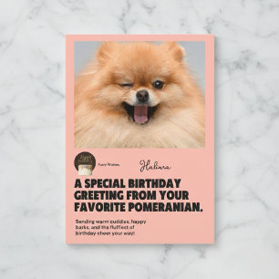 Happy Birthday Winking Pomeranian Card