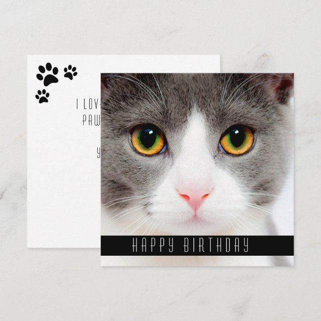 Happy Birthday Wishes Cats Announcement (Front/Back)