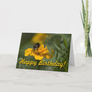 Happy Birthday with a bee in top Card
