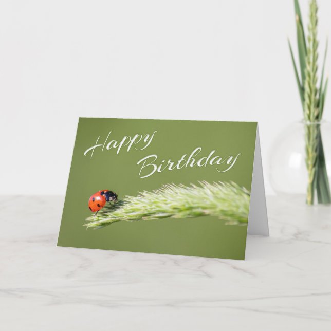 Happy Birthday with little ladybug! Card (Front)