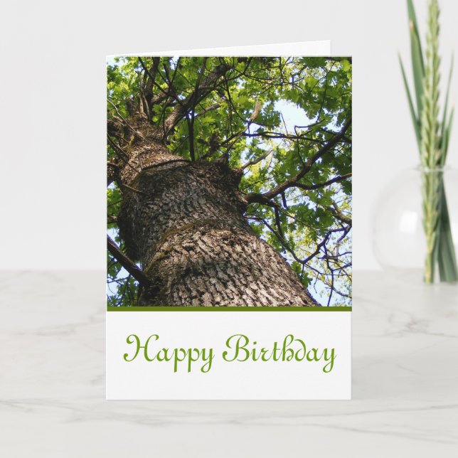Happy Birthday with view looking up at a tree Card (Front)