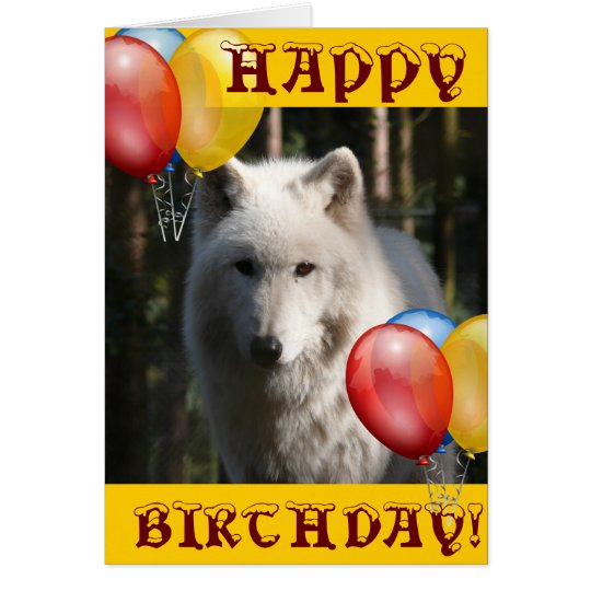 HAPPY BIRTHDAY wolf animal owl Card