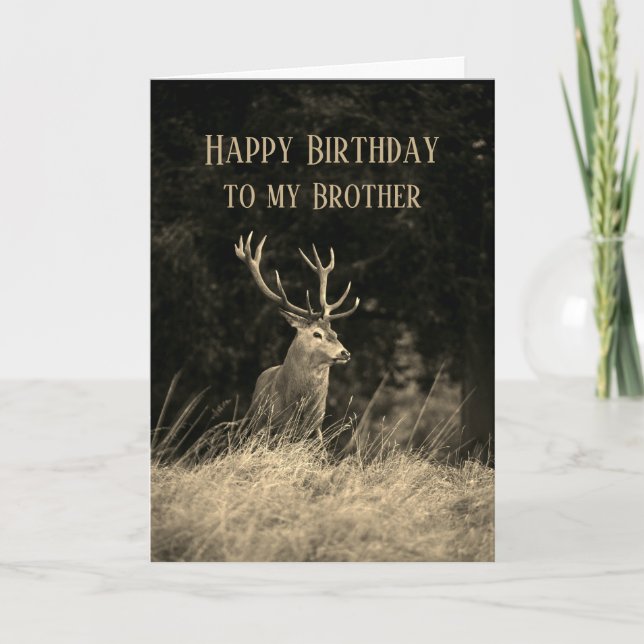 Happy Birthday Wonderful Brother Vintage Deer Stag Card (Front)
